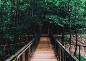 Yalova, Kocadere Şelalesi’ni görmek lazım,,,