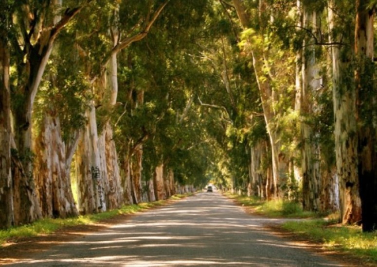Marmaris Aşıklar Yolunu görmeye gitmeliyiz. 